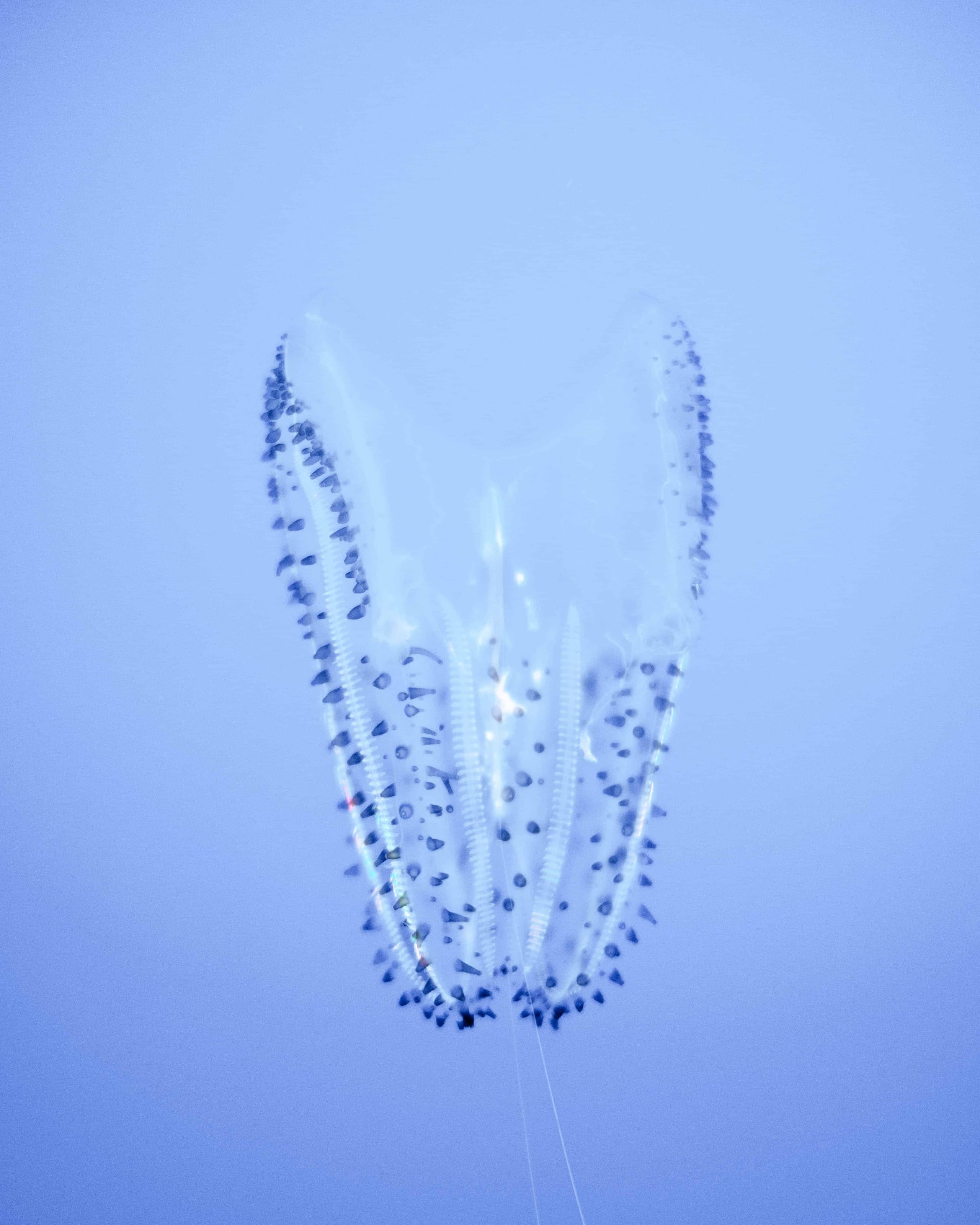 20191123-DSCF7045.jpg