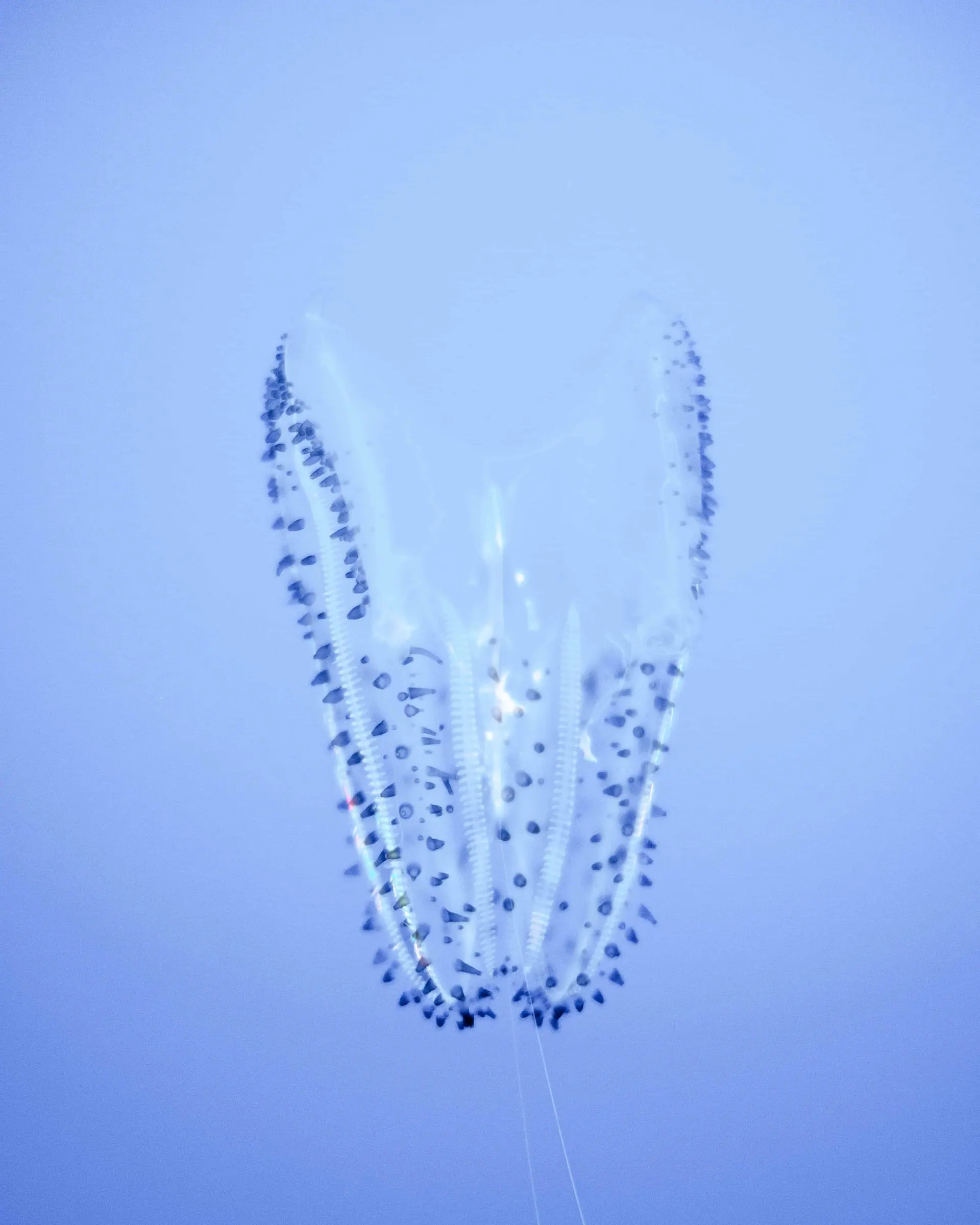 20191123-DSCF7045.jpg